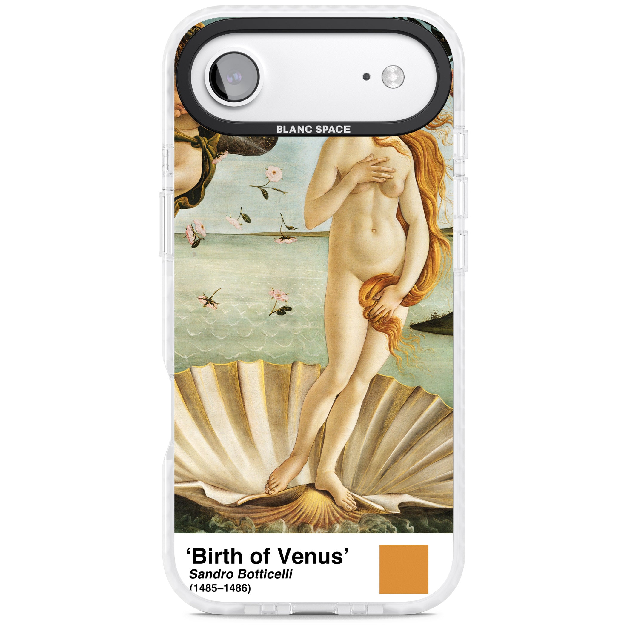 The Birth Of Venus iPhone 17 Air Impact Clear Phone Case
