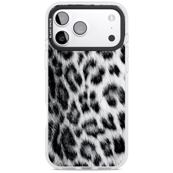 Snow Leopard