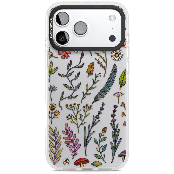 Autumn Wildflowers