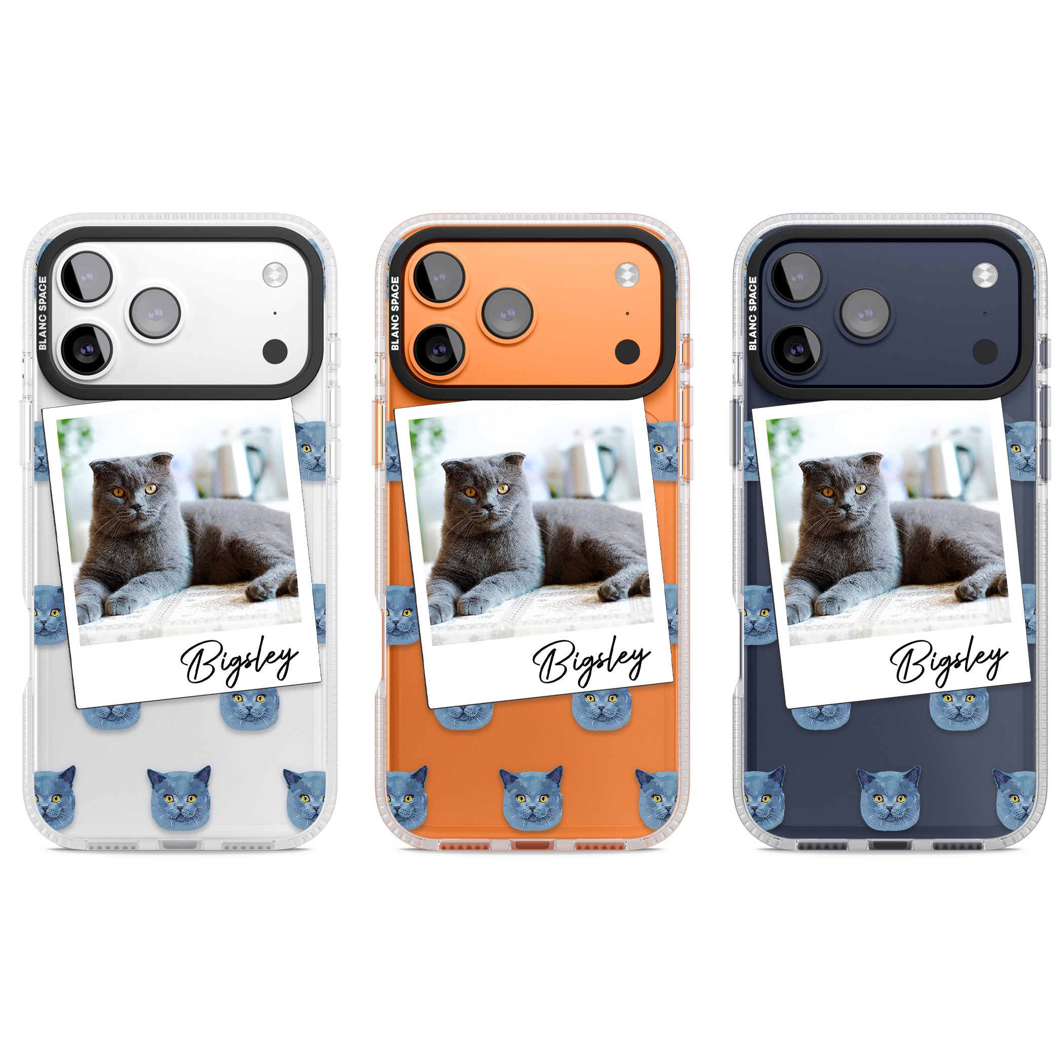 Personalised English Blue Cat Photo iPhone 17 Pro Impact Air Clear Phone Case APT Impact Protection