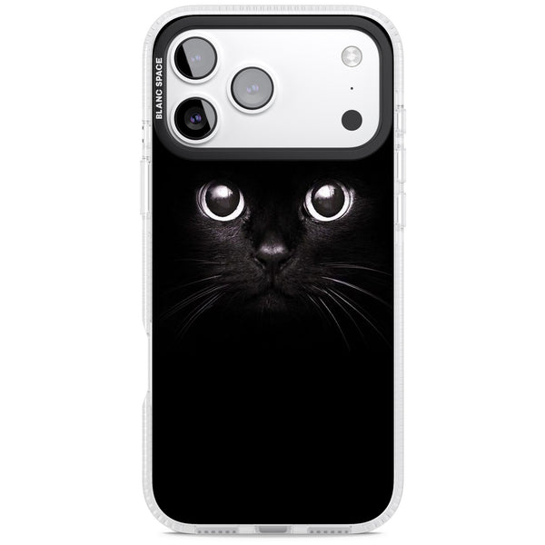Black Cat