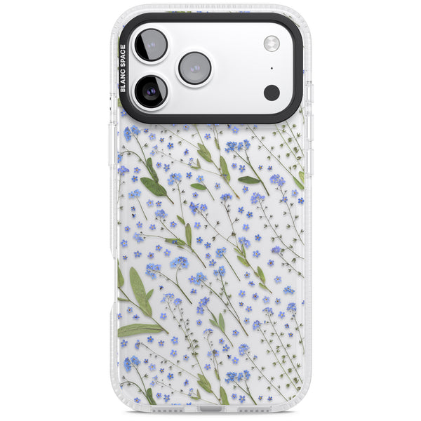 Blue Meadow
