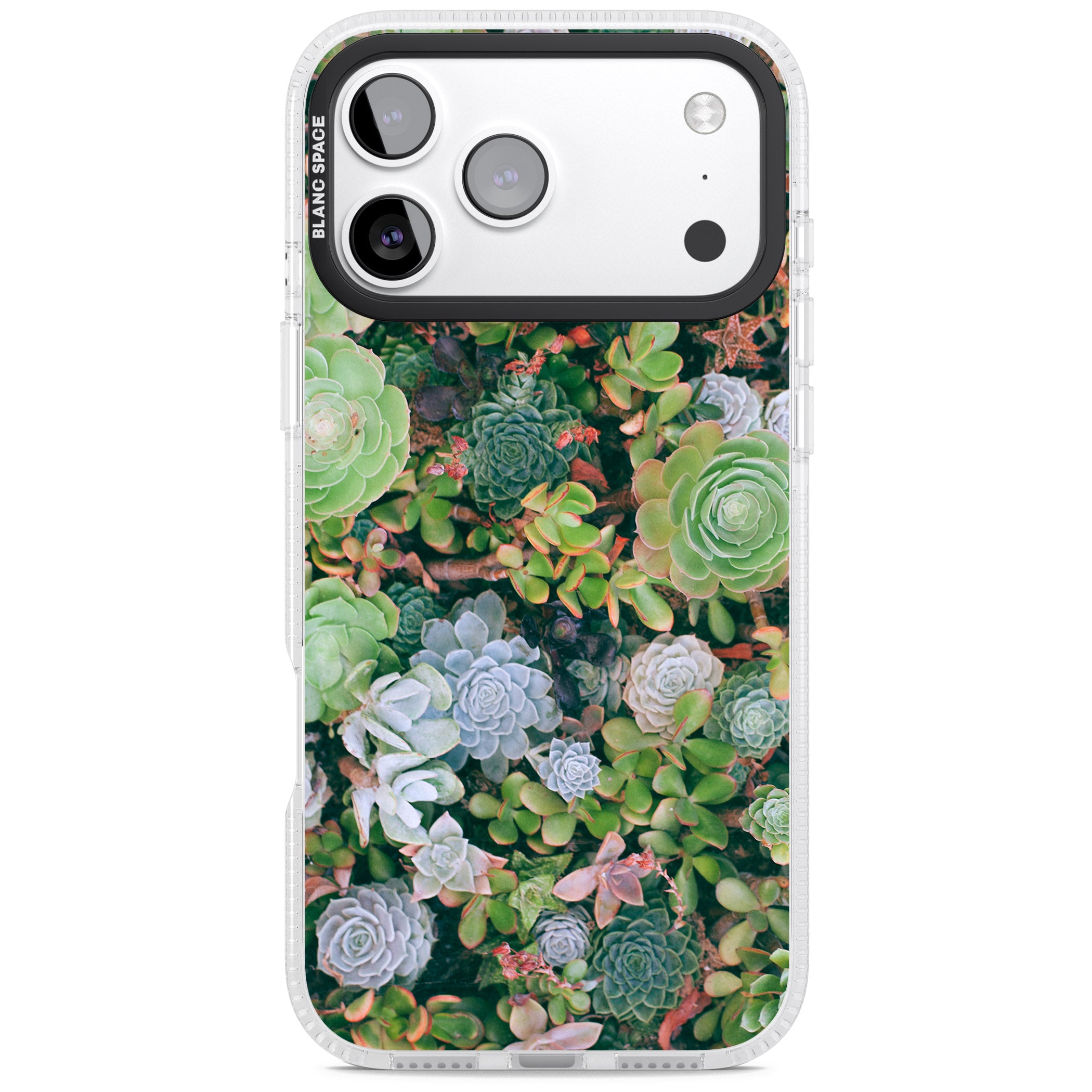 Succulent Garden iPhone 17 Pro Max Impact Air Clear Phone Case