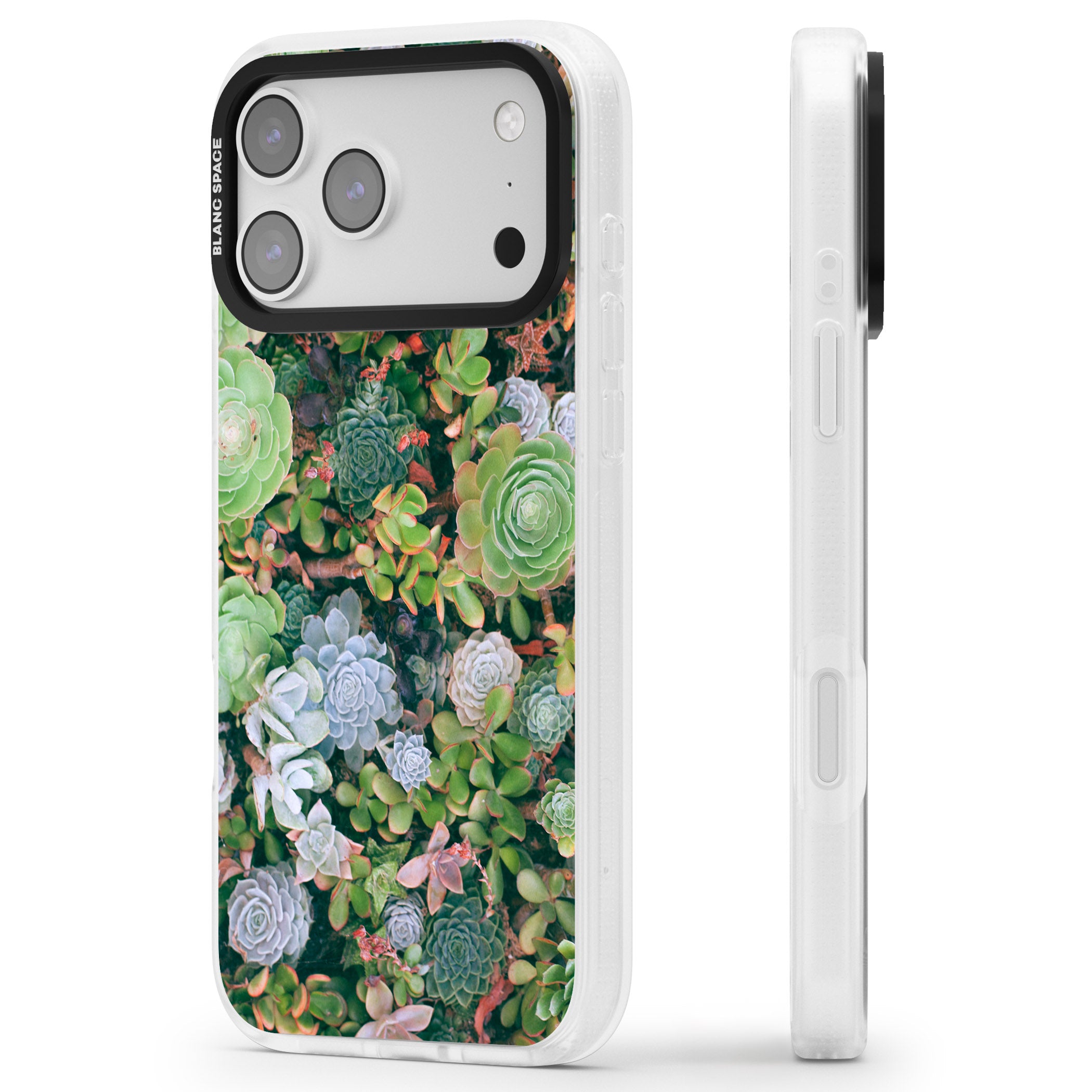 Succulent Garden iPhone 17 Pro Max Impact Air Clear Phone Case Side Profile