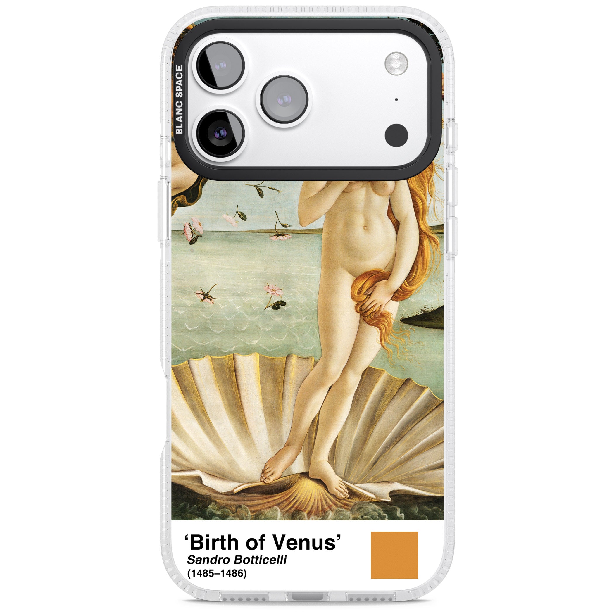 The Birth Of Venus iPhone 17 Pro Impact Air Clear Phone Case