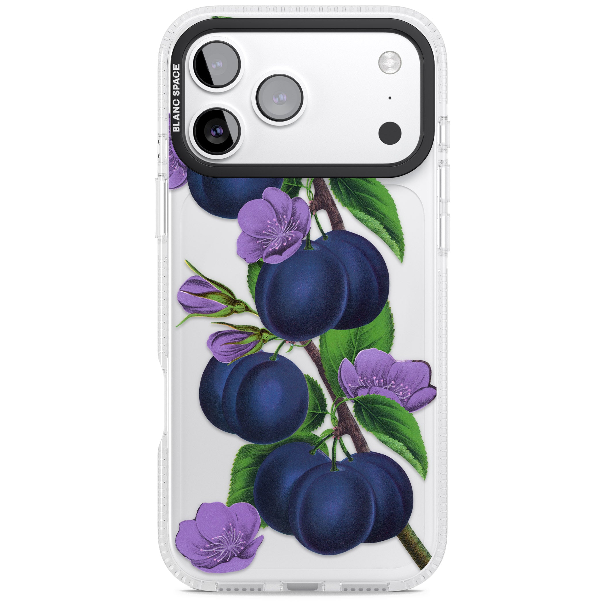 Vintage Painted Plums iPhone 17 Pro Impact Air Clear Phone Case
