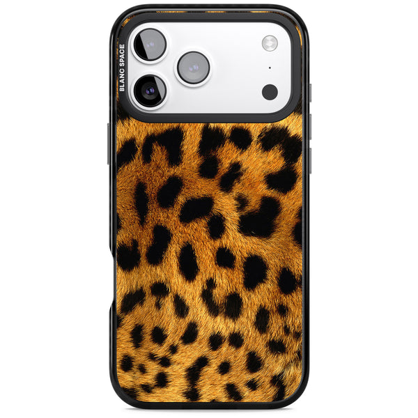 Leopard Print