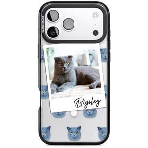 Personalised English Blue Cat Photo