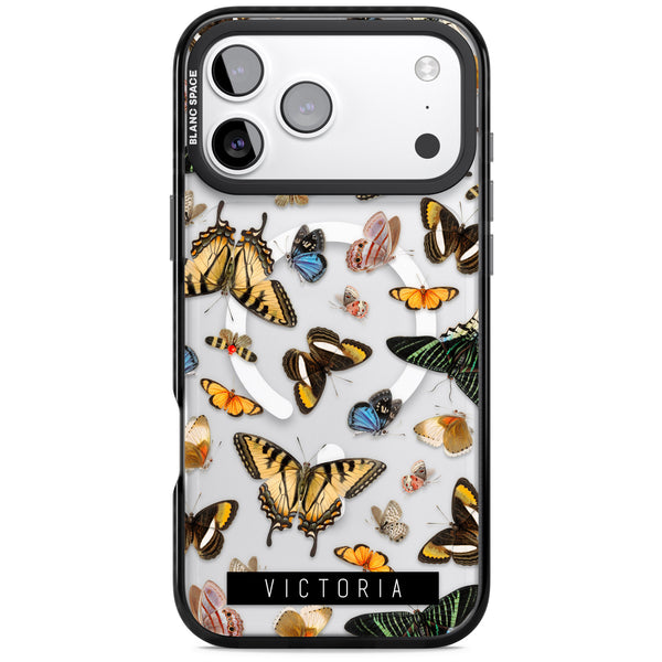 Personalised Butterfly Archive