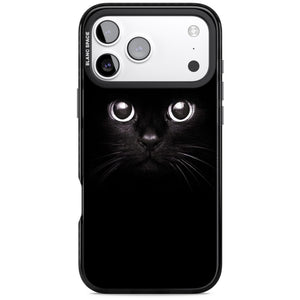 Black Cat