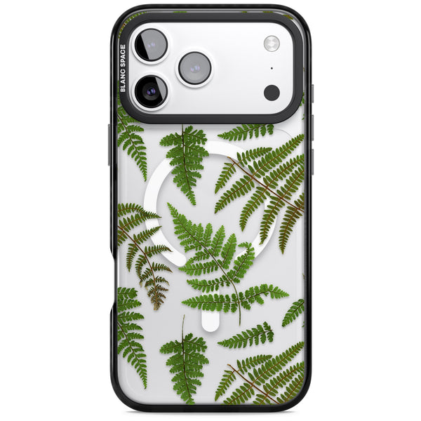 Leafy Ferns