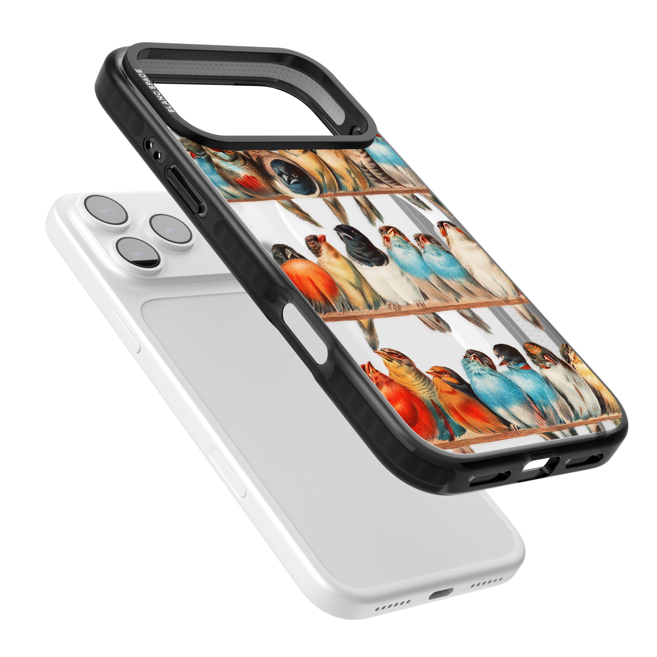 A Perch Of Birds iPhone 17 Pro Impact Pro Black Phone Case Colours