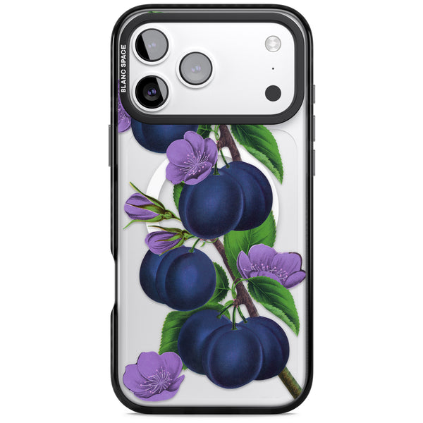 Vintage Painted Plums