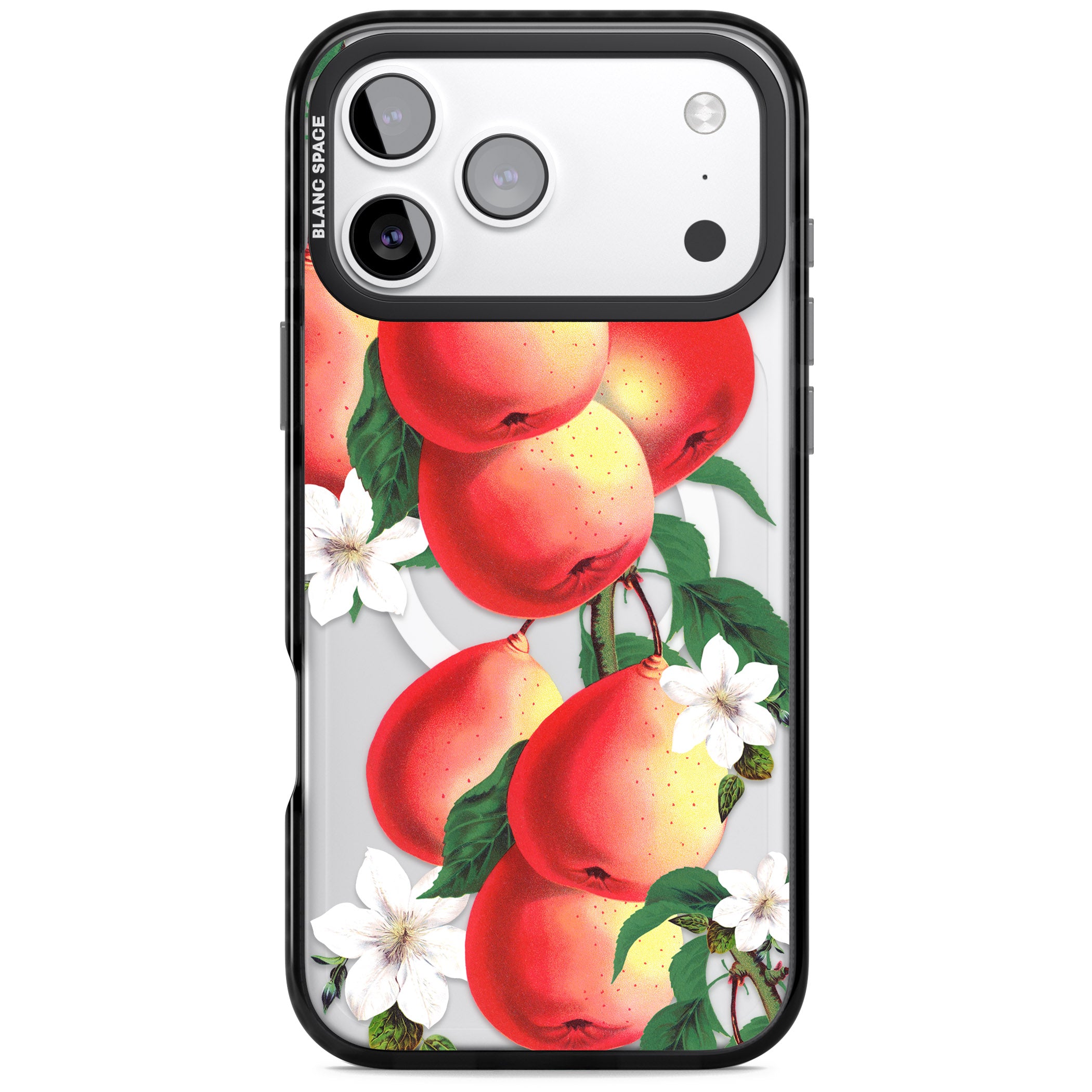 Vintage Painted Peaches iPhone 17 Pro Impact Pro Black Phone Case