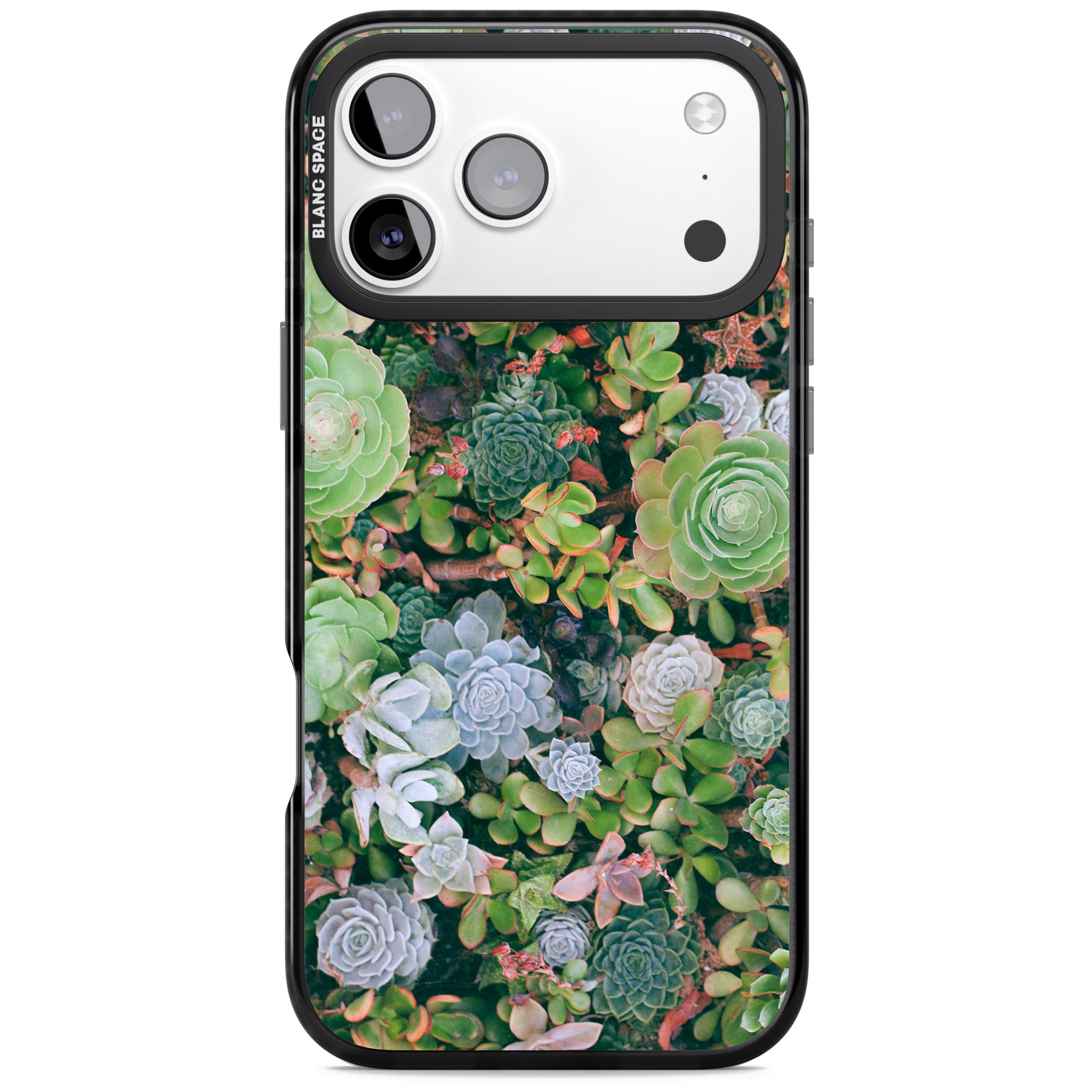 Succulent Garden iPhone 17 Pro Max Impact Black Phone Case