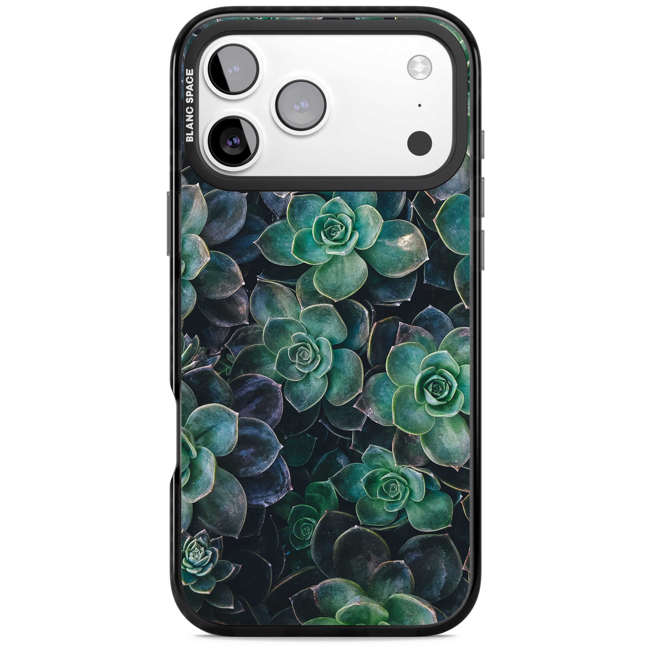 Succulent Bloom Botanical iPhone 17 Pro Impact Black Phone Case