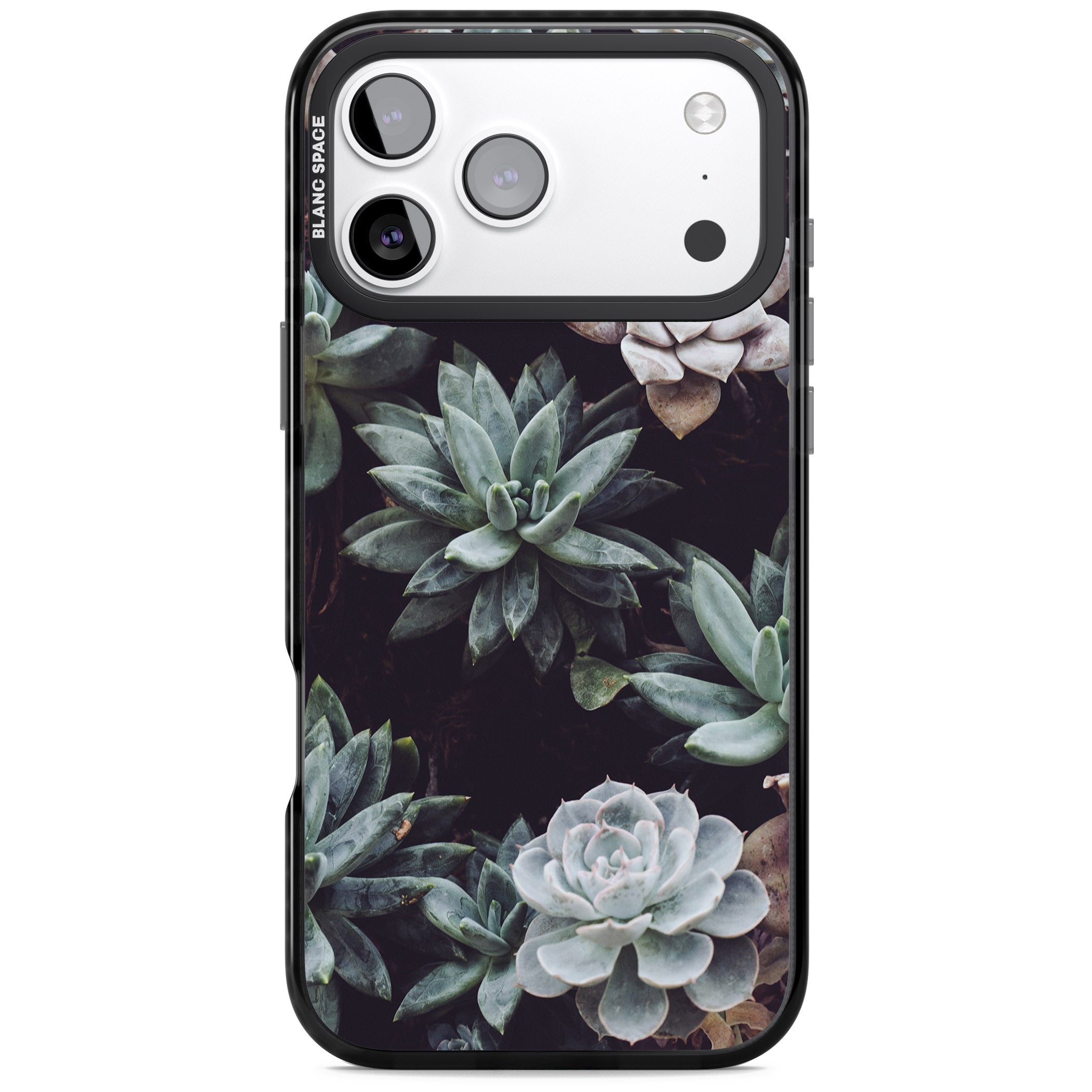 Succulent Bloom Mixed iPhone 17 Pro Impact Black Phone Case