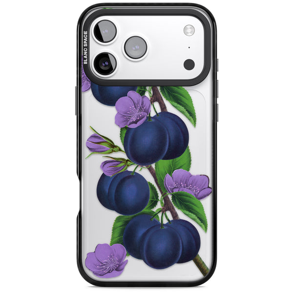 Vintage Painted Plums