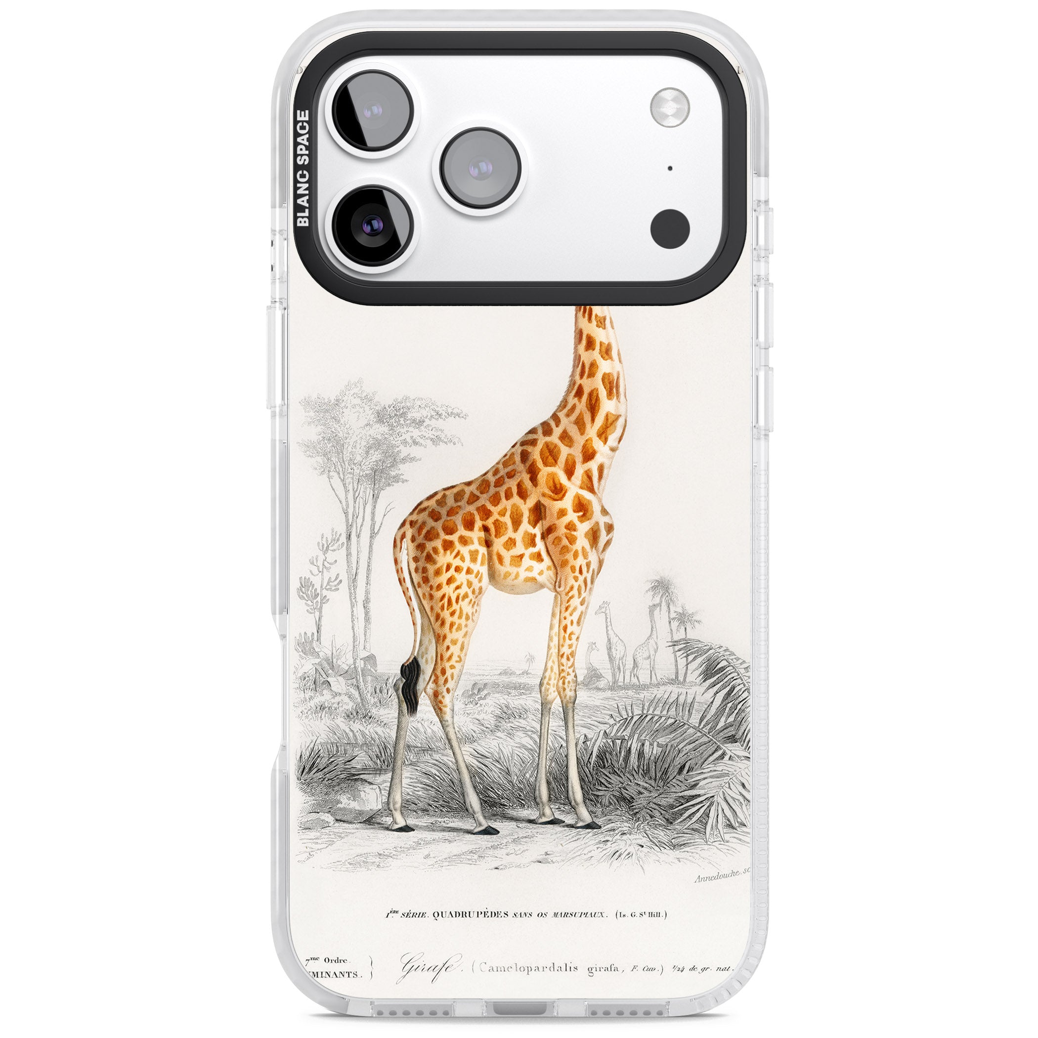 Vintage Giraffe Art iPhone 17 Pro Impact Clear Phone Case
