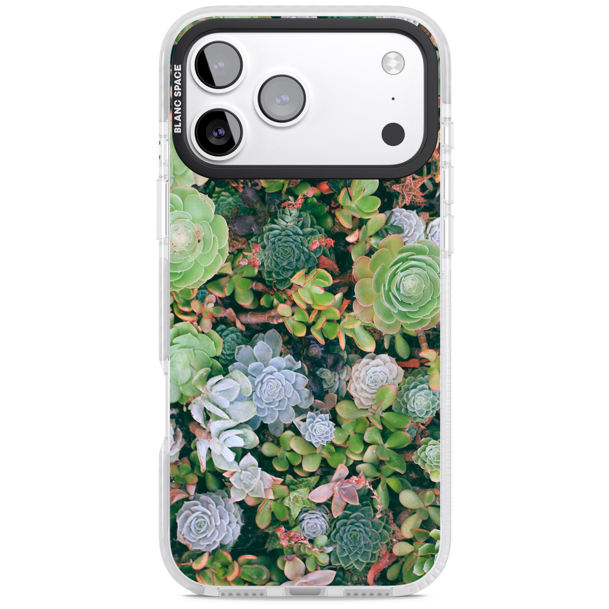 Succulent Garden iPhone 17 Pro Max Impact Pro Clear Phone Case