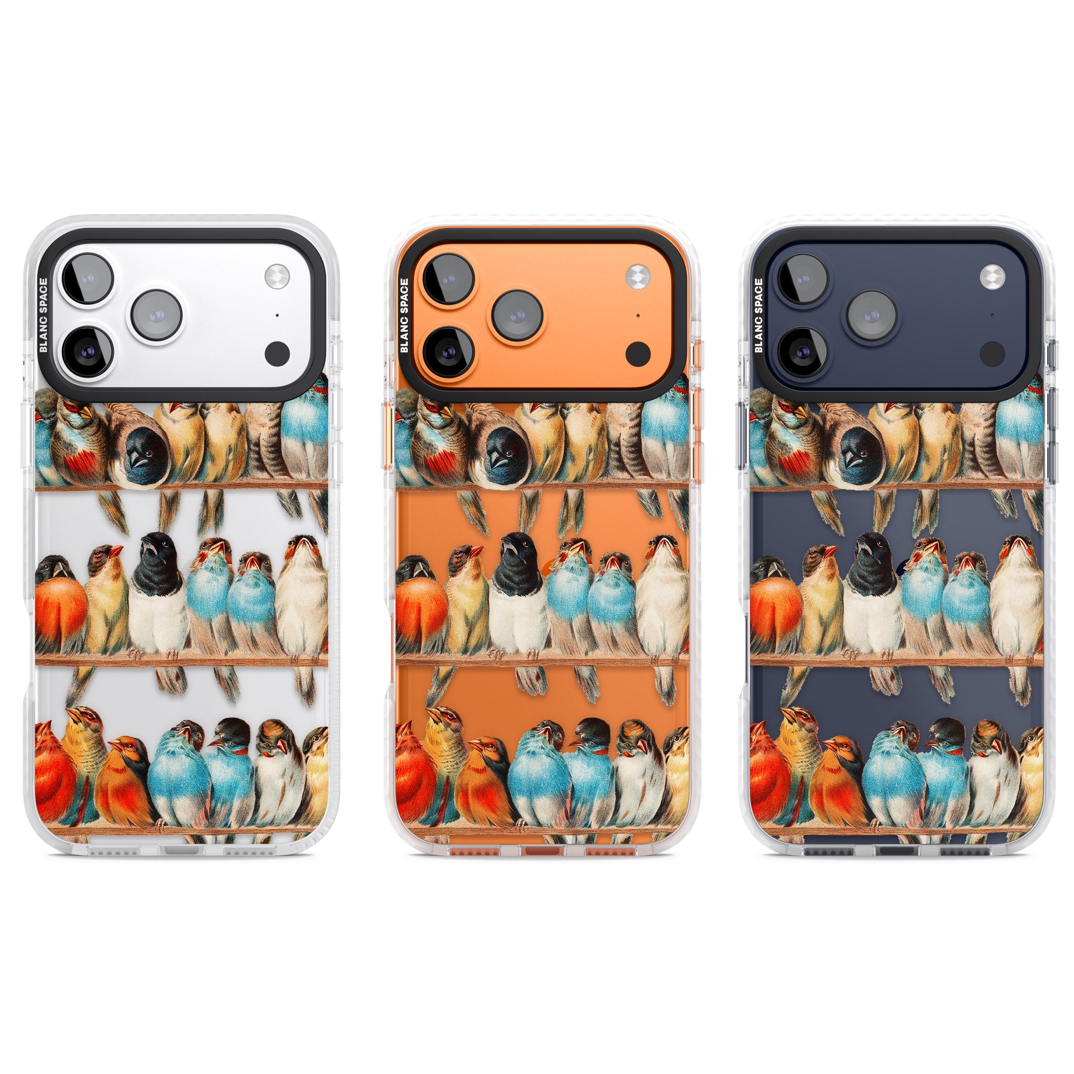 A Perch Of Birds iPhone 17 Pro Impact Clear Phone Case APT Impact Protection