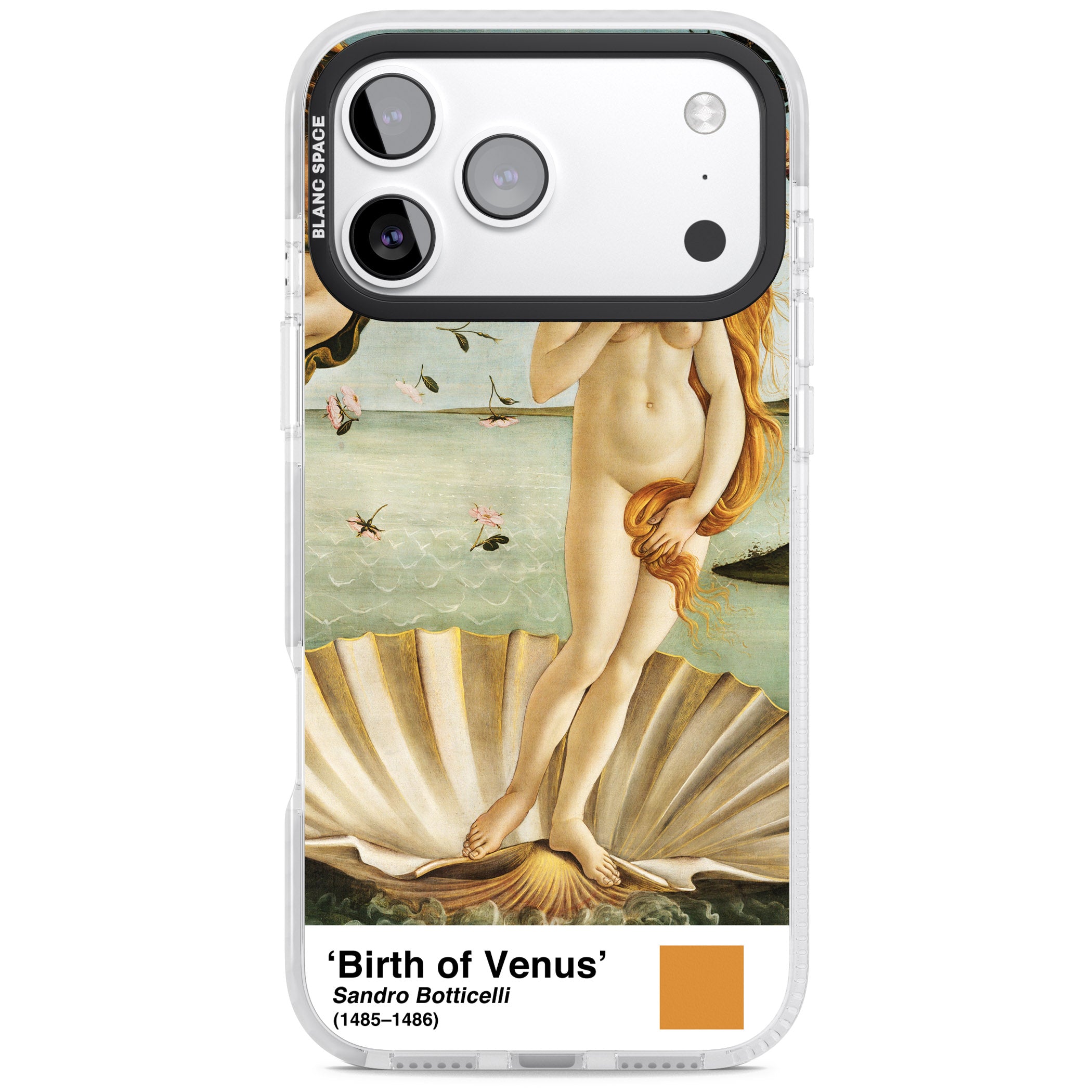 The Birth Of Venus iPhone 17 Pro Impact Clear Phone Case