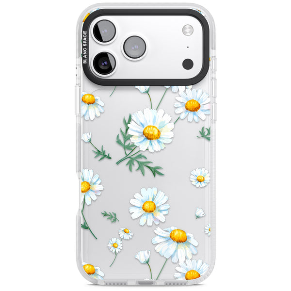 Vintage Painted Daisies