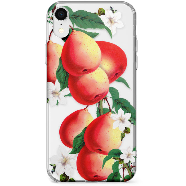 Vintage Painted Peaches Phone Case for iPhone X, XS Max, XR