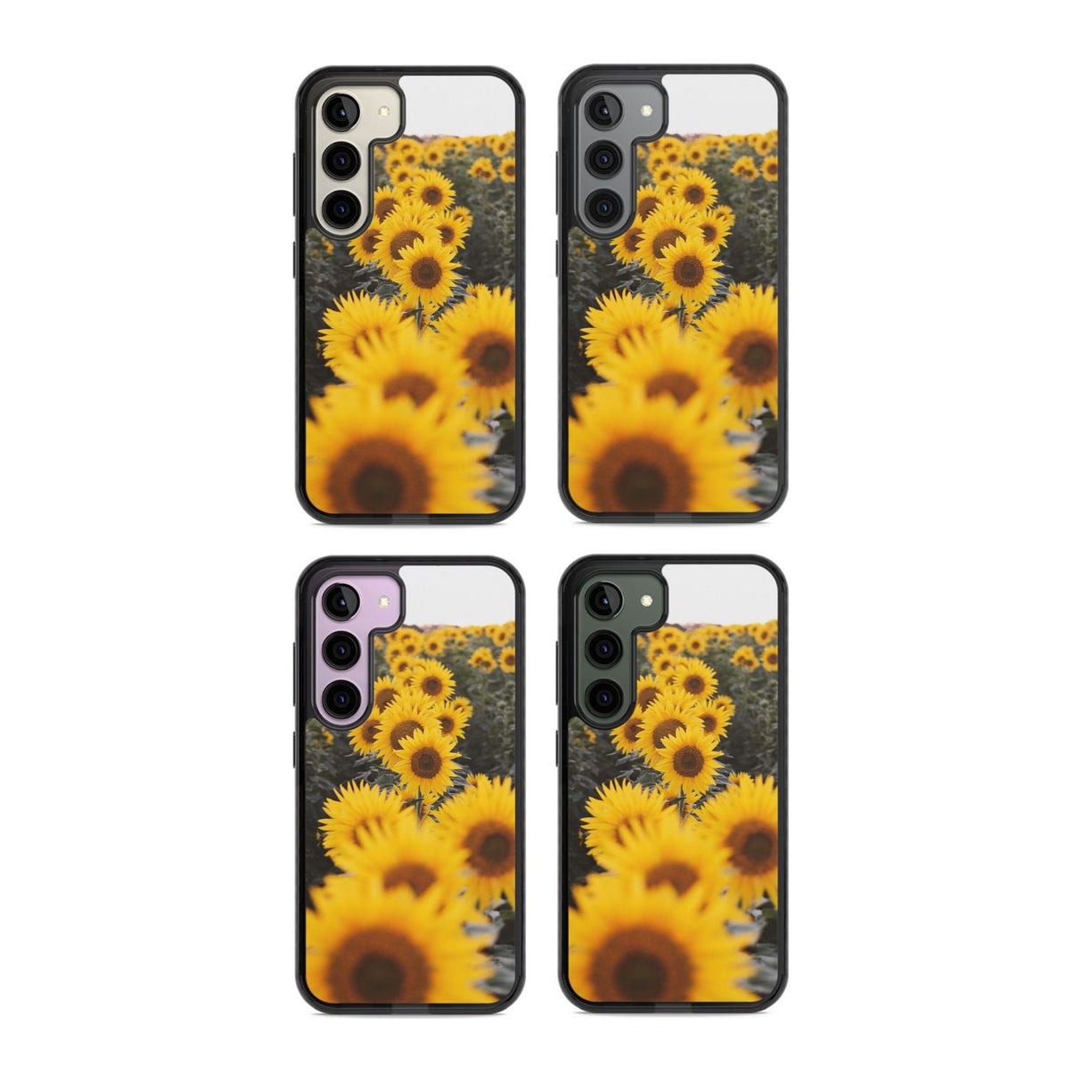 Sunflower Field Photograph
