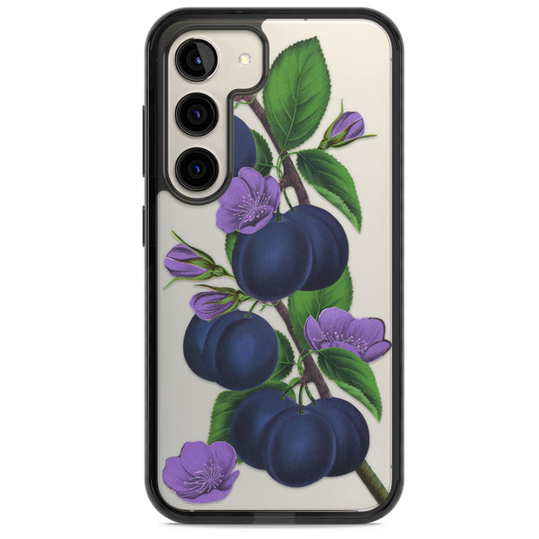 Vintage Painted Plums