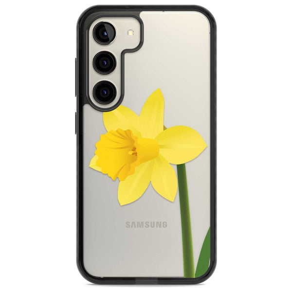 Daffodil