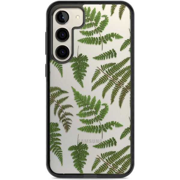 Leafy Ferns