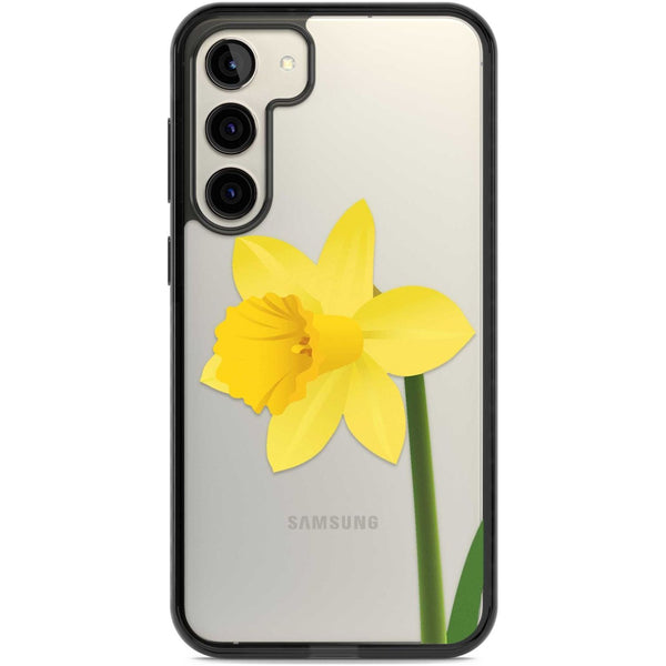 Daffodil