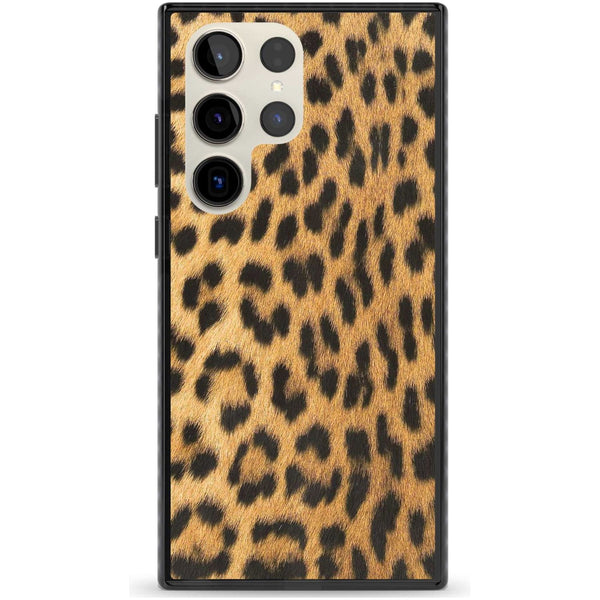 Savannah Leopard