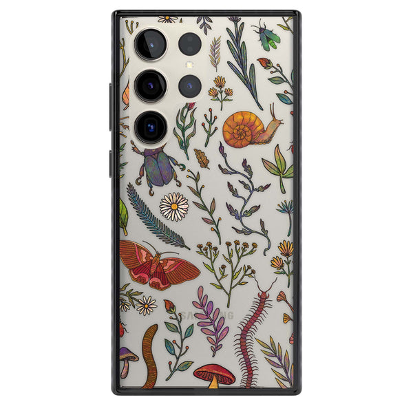 Bugs & Wildflowers