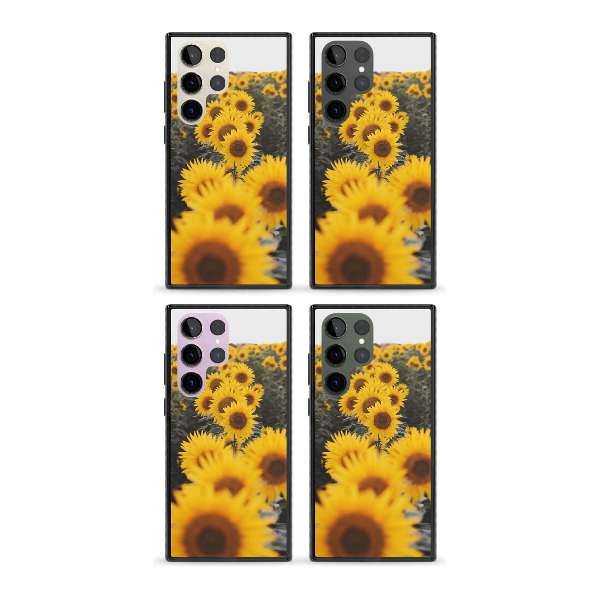Sunflower Field Photograph