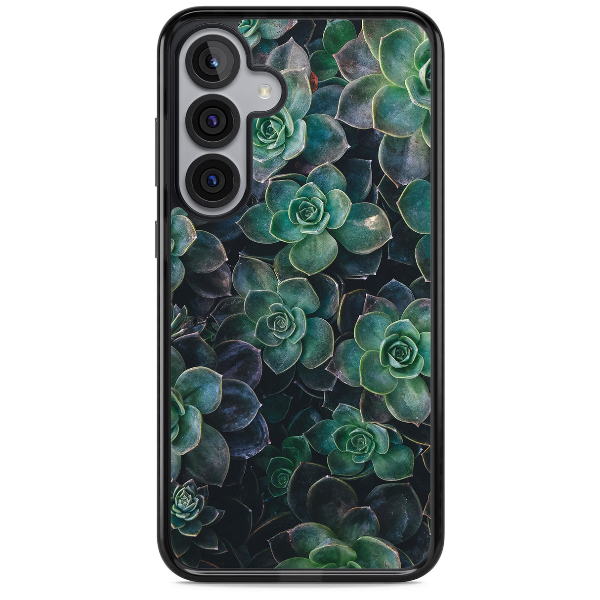 Succulents - Real Botanical Photographs