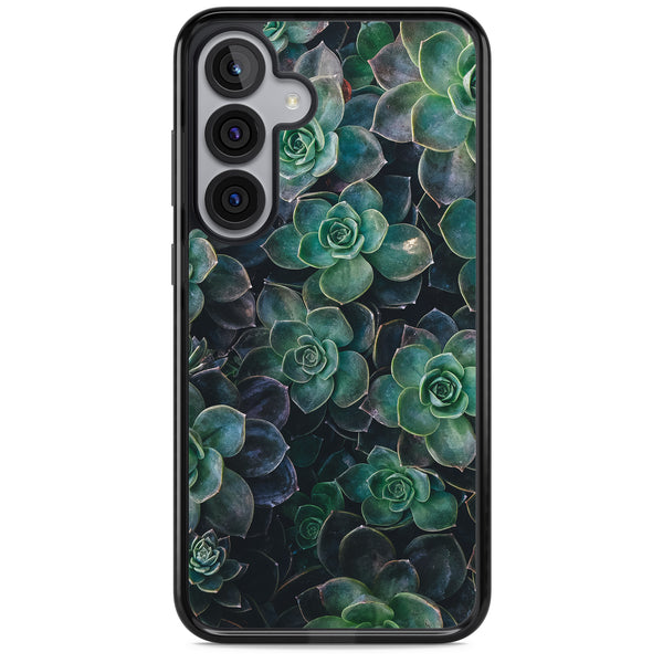 Succulent Bloom Botanical