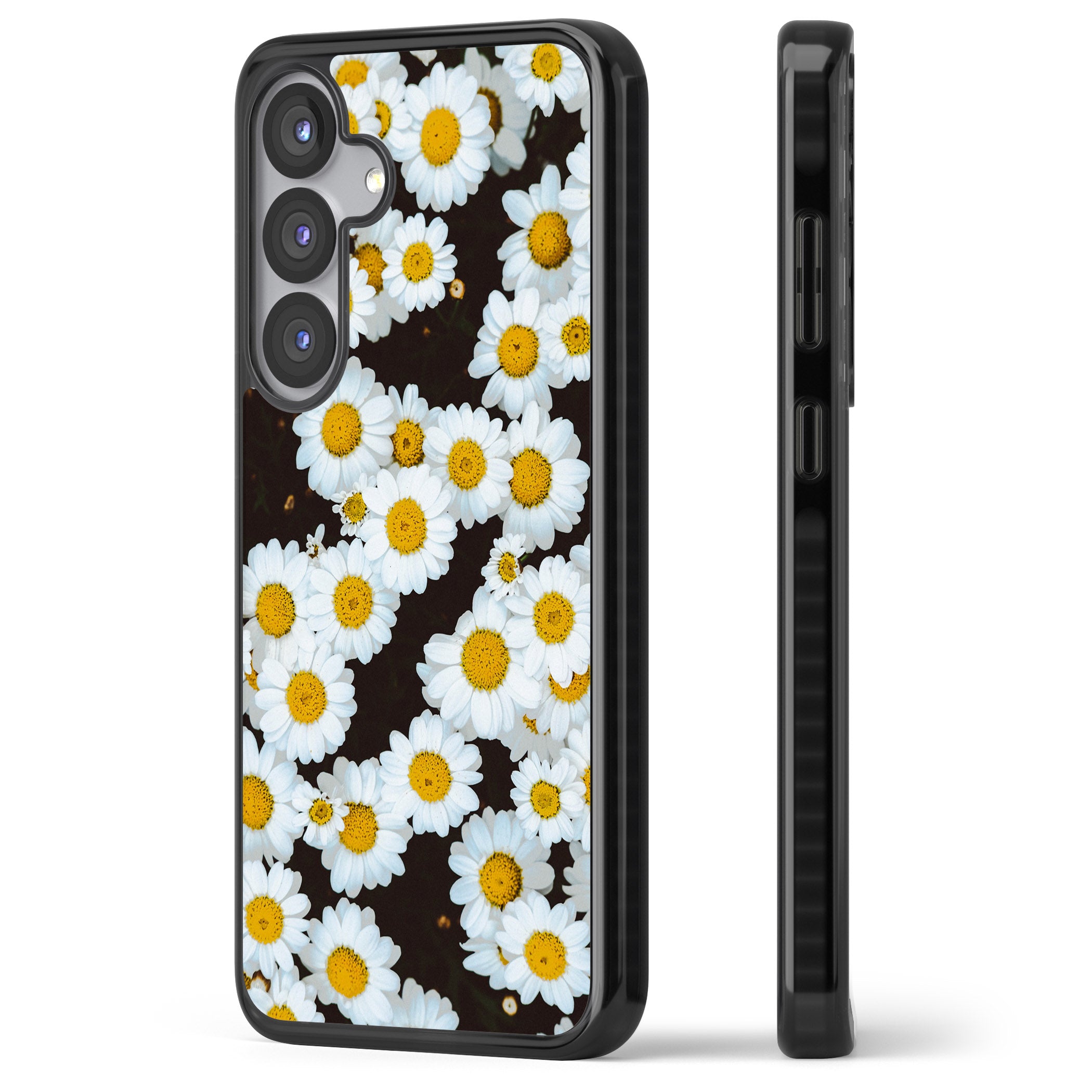 Daisy Dream