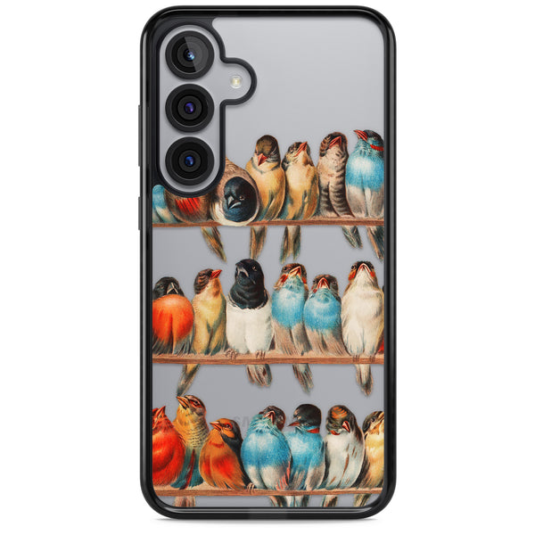 A Perch Of Birds