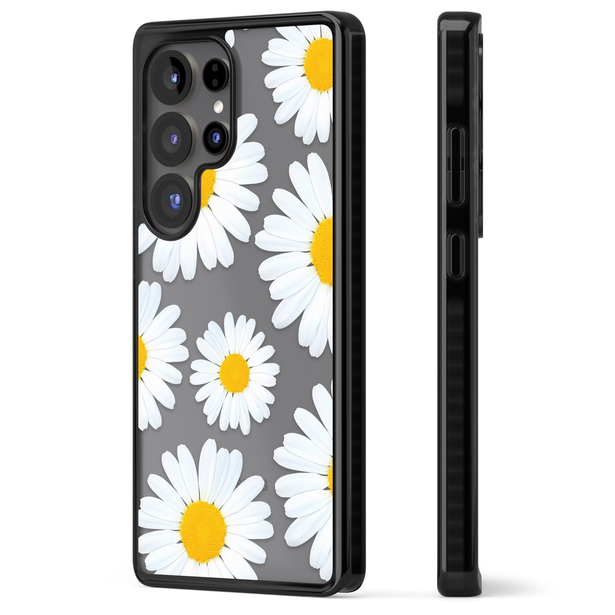 Summer Daisy