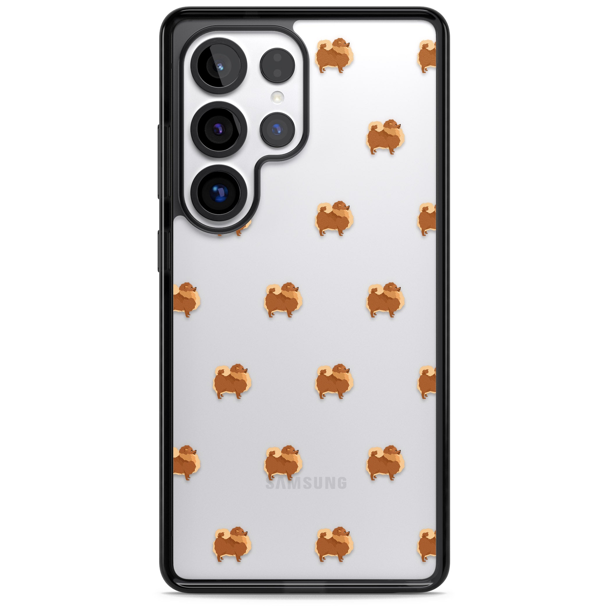 Pomeranian Delight