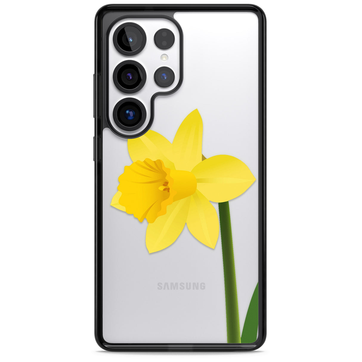 Daffodil