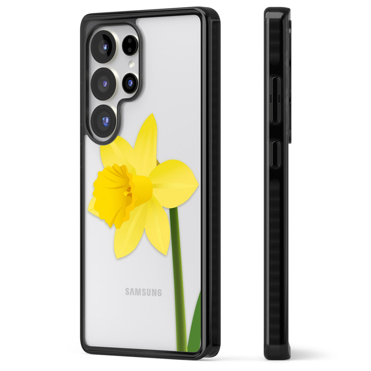 Daffodil