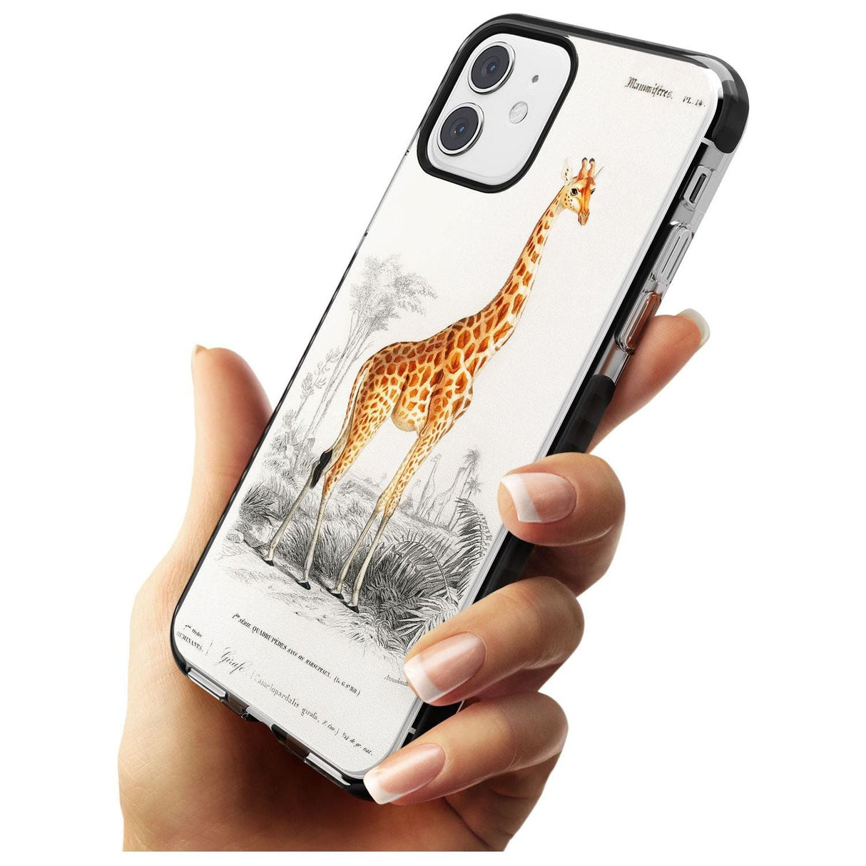 Vintage Girafe Art Black Impact Phone Case for iPhone 11 Pro Max