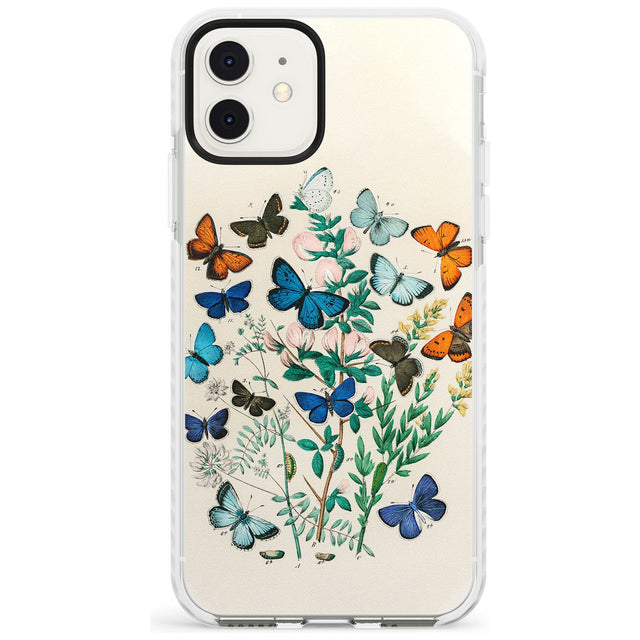 European Butterflies Impact Phone Case for iPhone 11