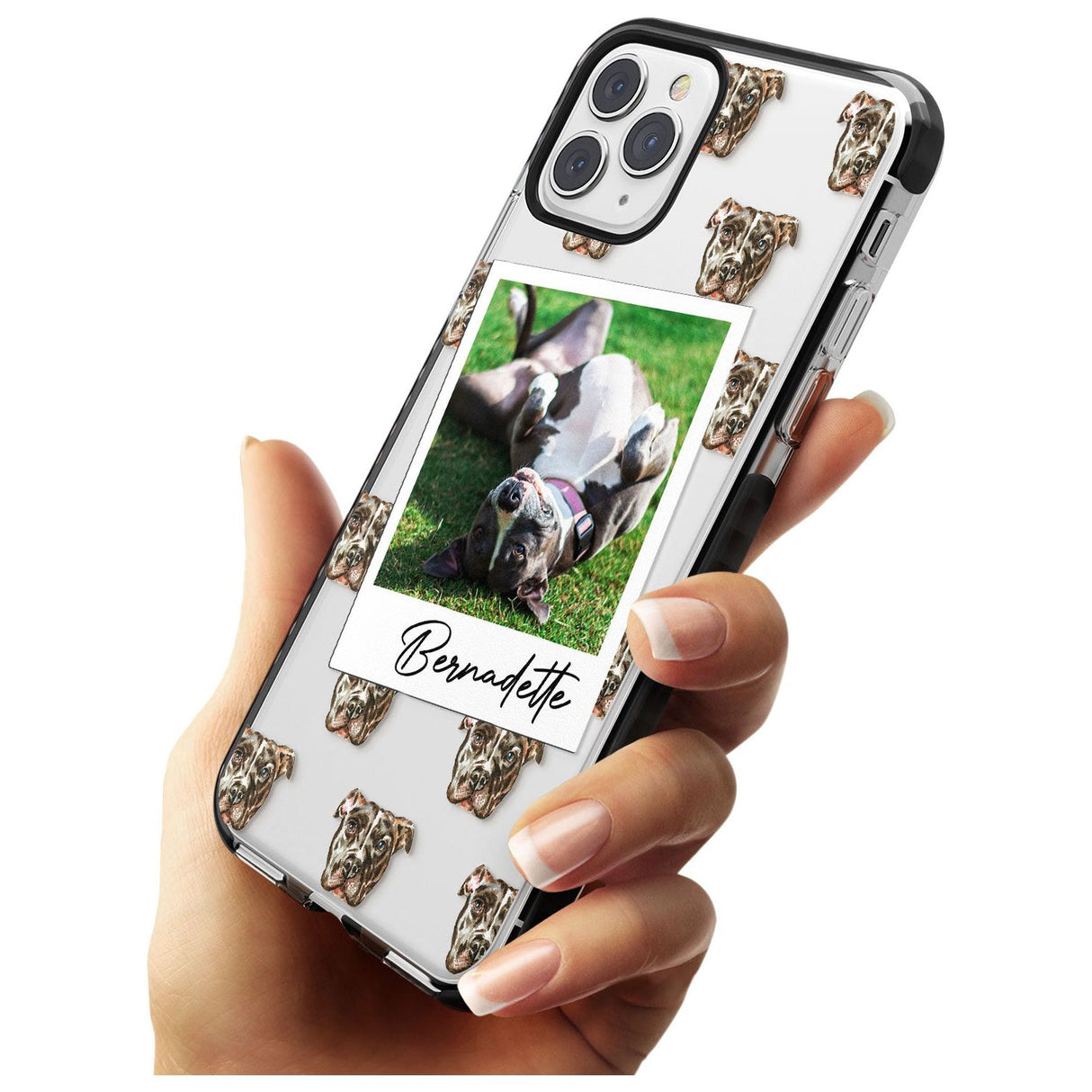 Staffordshire Bull Terrier - Custom Dog Photo Pink Fade Impact Phone Case for iPhone 11