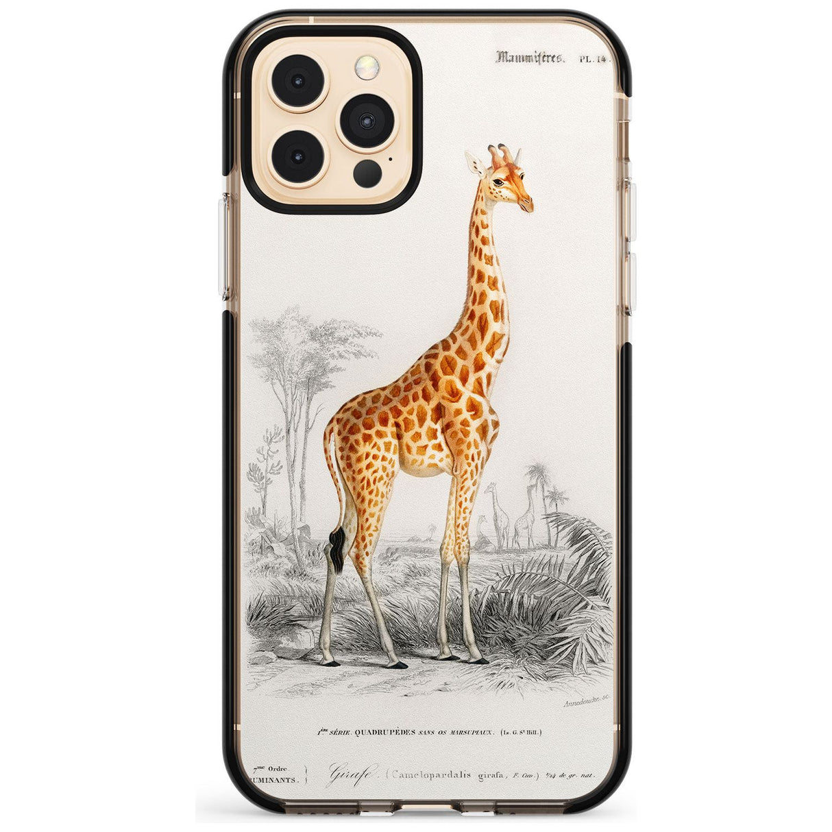 Vintage Girafe Art Black Impact Phone Case for iPhone 11