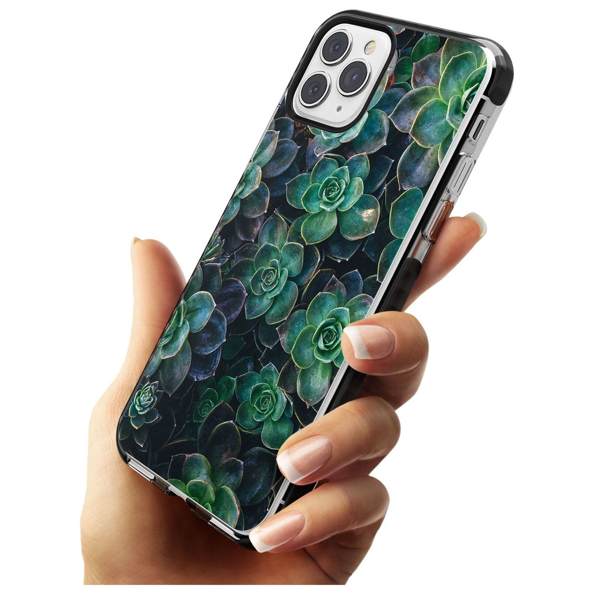 Succulents - Real Botanical Photographs Black Impact Phone Case for iPhone 11 Pro Max