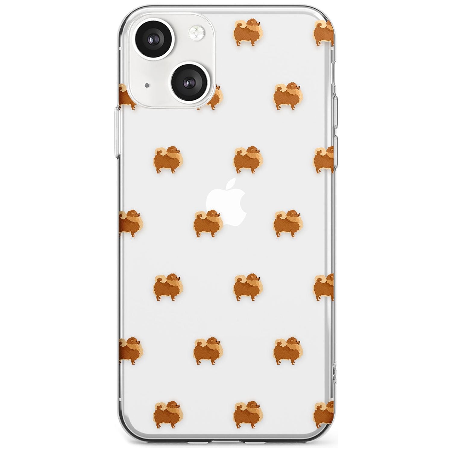 Pomeranian Delight